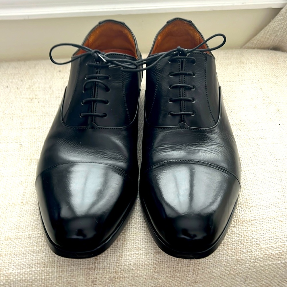 Wolf and Sheperd Dress Shoes